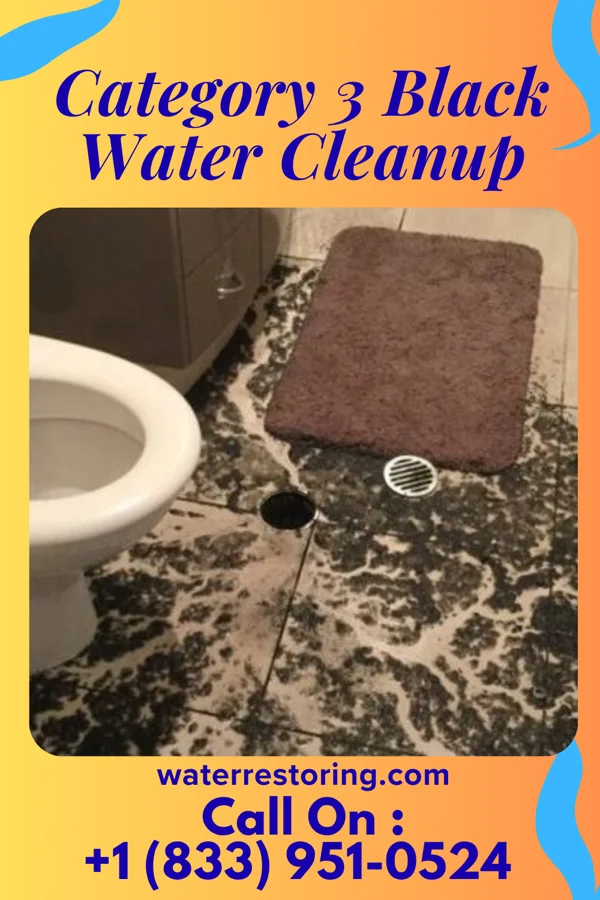 Category 3 Black Water Cleanup in No Name, CO